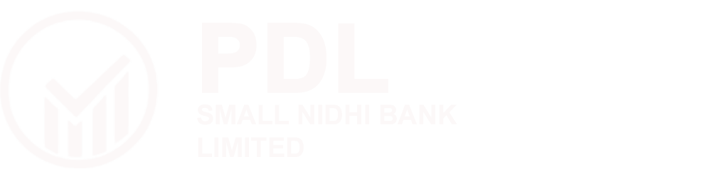PD LAKSHMI NIDHI LIMITED   Footer Logo